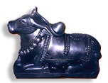 shri nandi